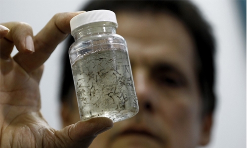 Costa Rica has first case of Zika-associated syndrome