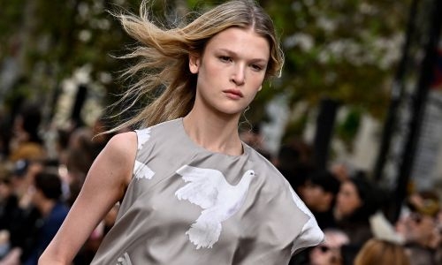 'Billions of birds' killed for fashion says designer McCartney