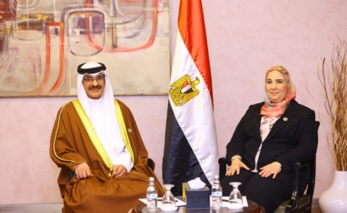 Focus on Bahrain-Egypt social care cooperation