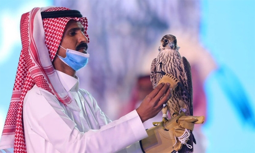 Most expensive falcon sold in International Falcon Breeders Auction