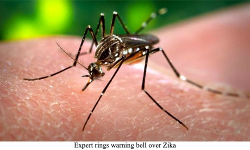 Expert rings warning bell over Zika