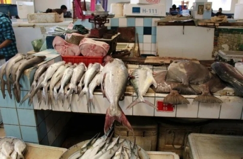 Fish Prices Dive in Bahrain by 6.6%!
