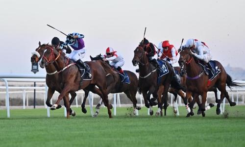 Bahrain Turf Series resumes at Sakhir horseracing track