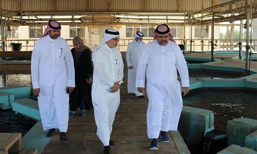 Fish farming in Bahrain is on verge of ‘quantum leap