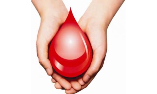 Data bank of blood donors starts in Bahrain