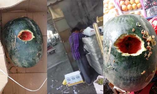 Rat-infested watermelons for sale in Bahrain!