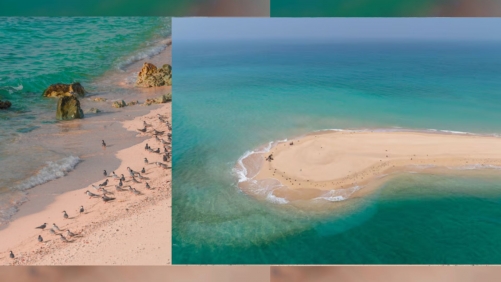 Sharjah’s Sir Bu Nair Island Added to Global List of Protected Areas