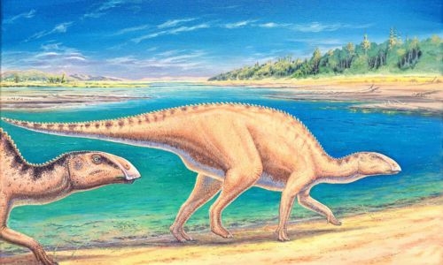 Remains of new species of duck-billed dinosaur found in Chile