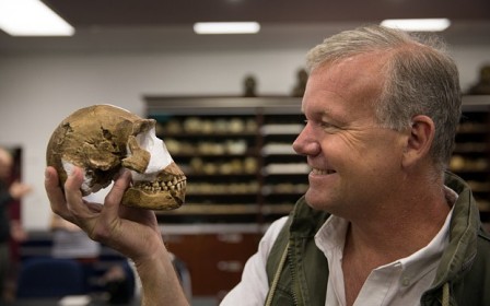 New species of human ancestor discovered
