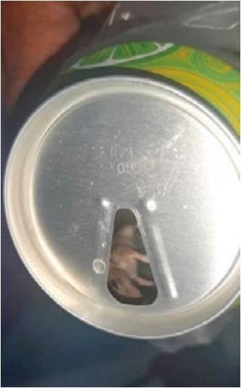 ‘Rat in can’ probe reaching nowhere 