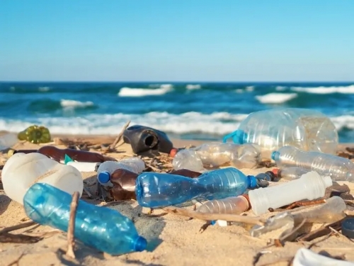 'Beach cleanups in Bahrain disorganised and done for social media popularity'
