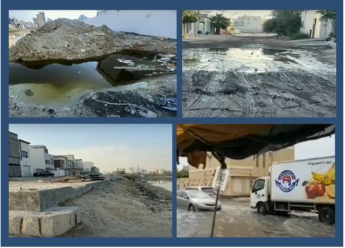 Bahrain MP exposes mosquito swamps, crumbling roads in Northern nightmare
