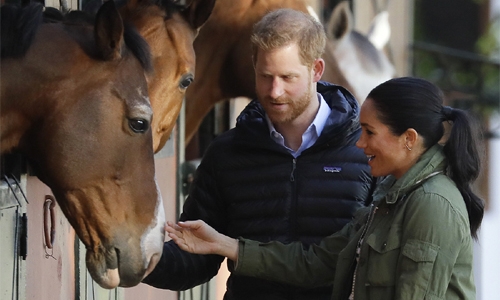 Harry and Meghan meet horses that heal in Morocco