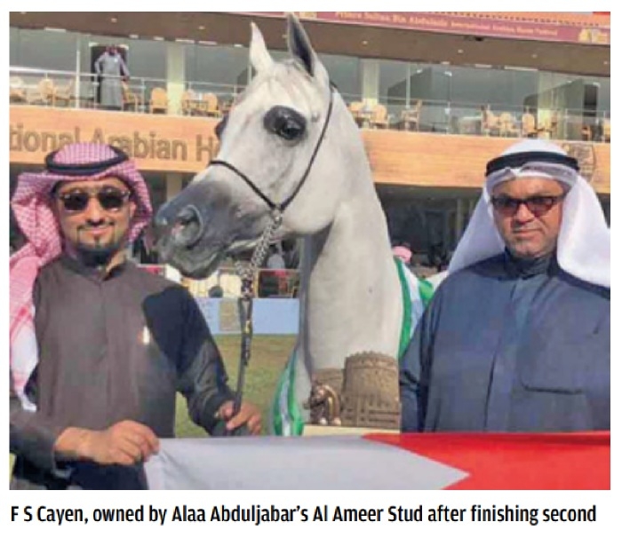Bahraini horses excel in beauty championship
