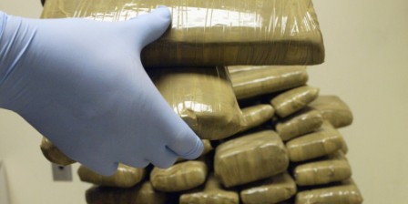 Pakistani caught for smuggling drugs