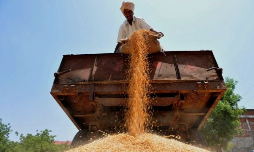 Global rice prices hit 15-year high after India curbs: FAO