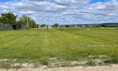 Canada finds hundreds of graves at indigenous school