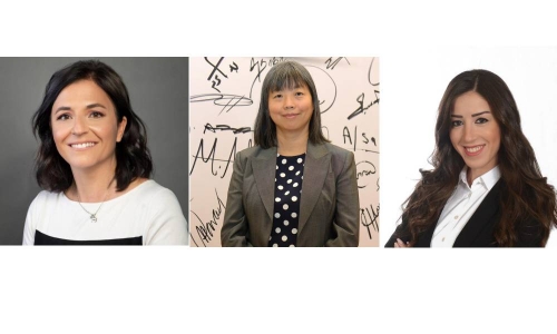 Women experts delve into rise of AI and ChatGPT in webinar