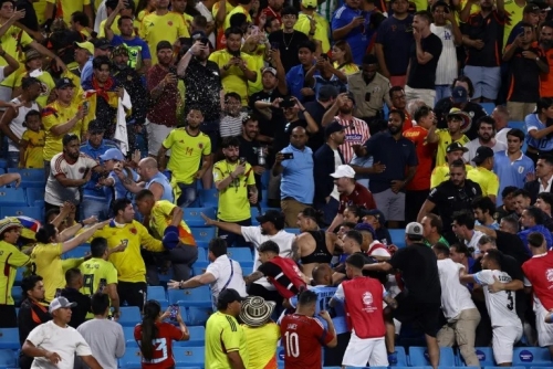 Nunez, Uruguay players brawl in stands with fans after Copa loss