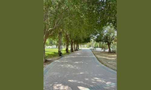 Bahrain sets sights on boosting green spaces with new tree-planting drive