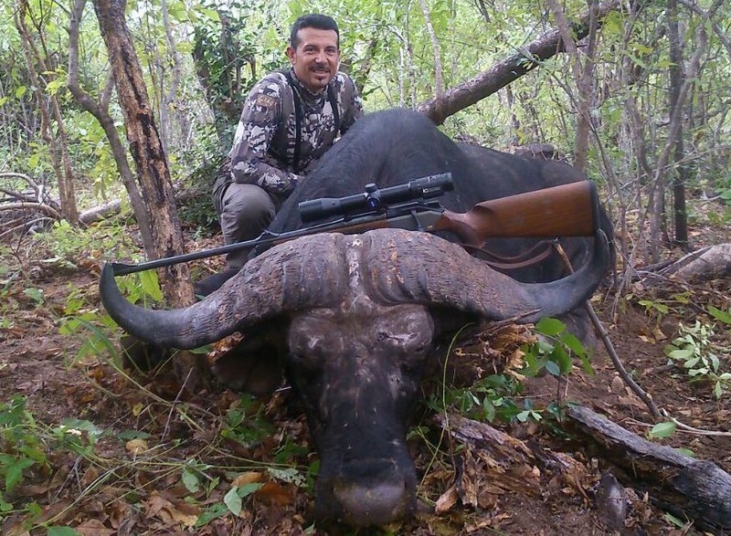 Zimbabwe allows bow and arrow hunting for buffalo