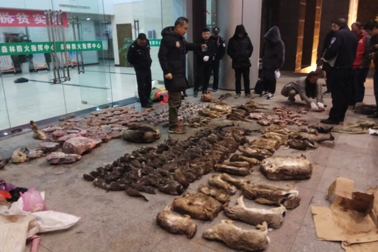 China bans wild animal trade until viral outbreak coronavirus