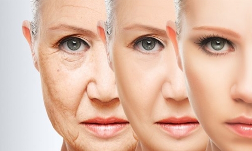 Study uncovers protein that keeps skin youthful