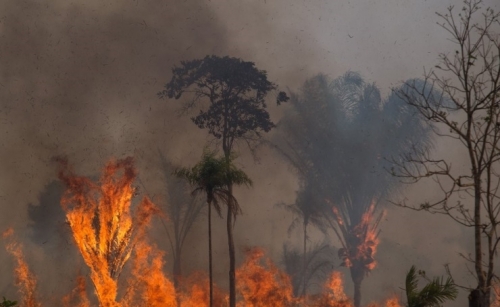 Fires in Brazilian Amazon cause extensive health damage