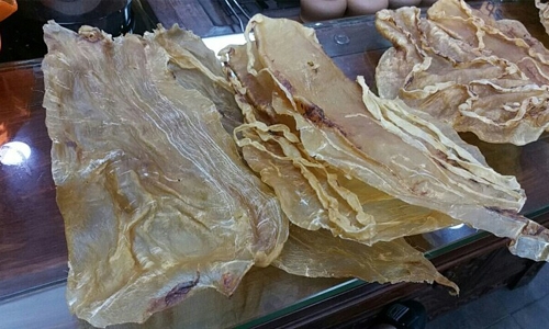 China prosecutes 11 people in $119 million totoaba fish bust