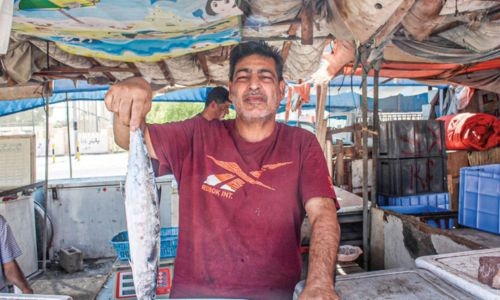 Local fish markets see price and supply stabilization after summer surge