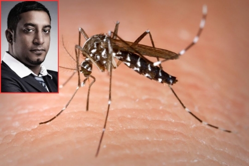 Bahrain at risk of deadly mosquito species: Expert