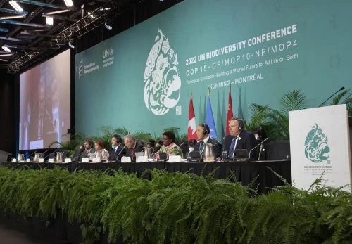 Nearly 200 countries sign historic deal to halt biodiversity loss by 2030