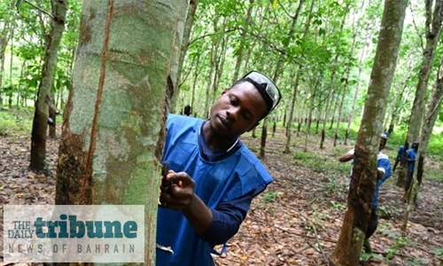 Changing times put I.Coast’s rubber industry under pressure