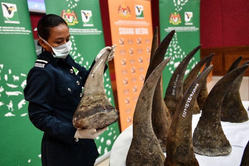 Malaysia makes record $12 mn rhino horn seizure