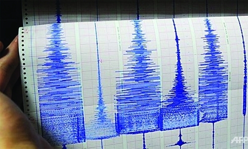 Strong quake off New Zealand but no damage