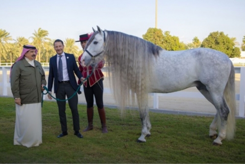 HM King receives Andalusian horse