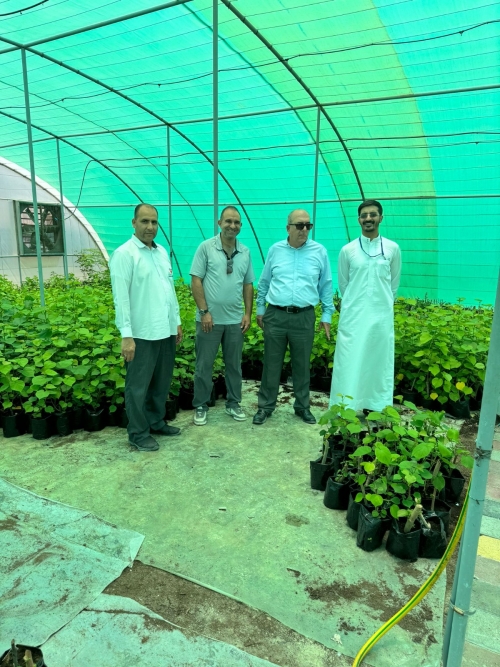 UN-Habitat Bahrain and FAO Collaborate on Greening Mission in Bahrain
