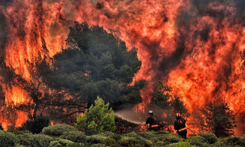 Deadly wildfire in Greece: Survivors recount horror