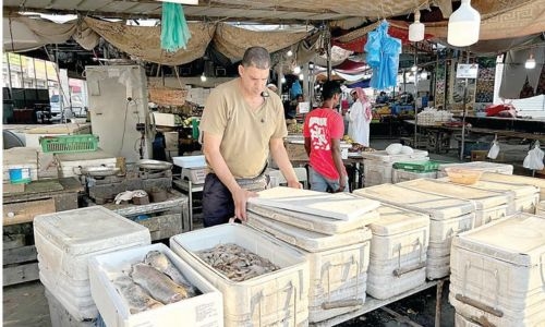 Fish prices drop, with safi now at BD3 in markets, following fishing ban