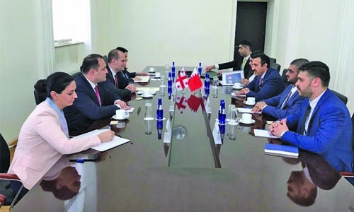 Undersecretary meets Vice Premier of Georgia