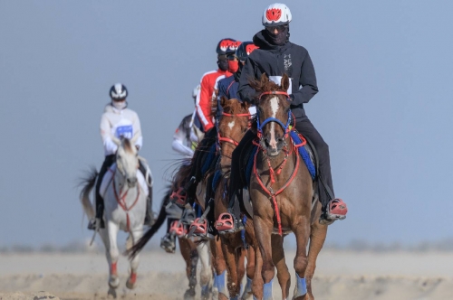 Nasser bin Hamad Endurance Cup begins