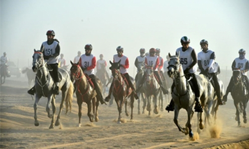 Bahrain to participate in Mohammed bin Rashid Endurance Championship