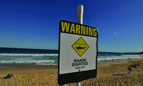 Surfer bitten in reported Australian shark attack