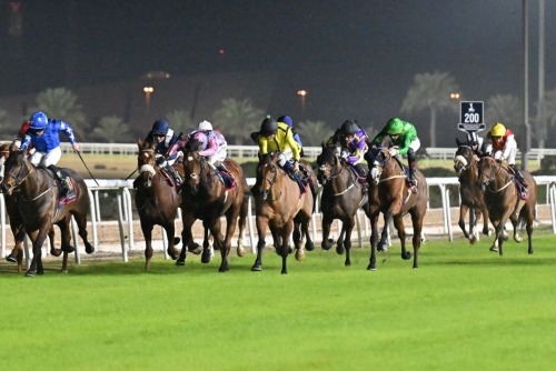 Exciting horse racing continues at REHC