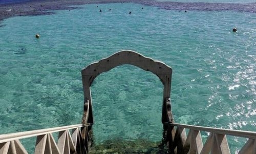 Second woman killed in shark attack in Egypt's Red Sea