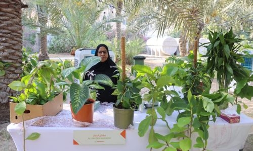 Inaugural Almond festival kicks off at Budaiya Botanical Garden