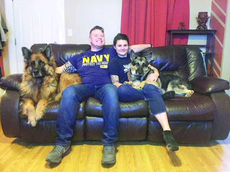 Navy couple faces nearly $11,600 bill to move pair of dogs