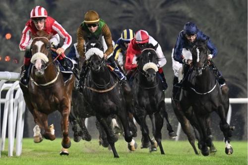 Rashid Equestrian and Horseracing Club hosts thrilling racing evening