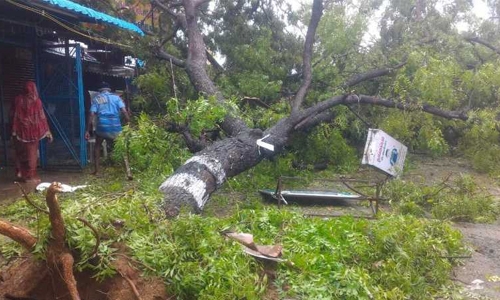 11 killed as cyclone whips Indian coast