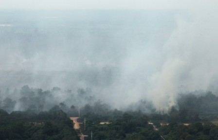 Indonesia declares emergency in haze-hit province